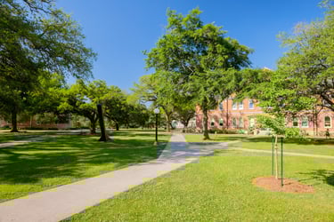 A sunny, green education campus with historic brick buildings