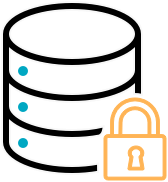 Data storage and Security Icon