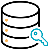 Ownership-of-Data-Icon