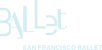 SFB-Logo-Vert-White_NoHelgi (small)