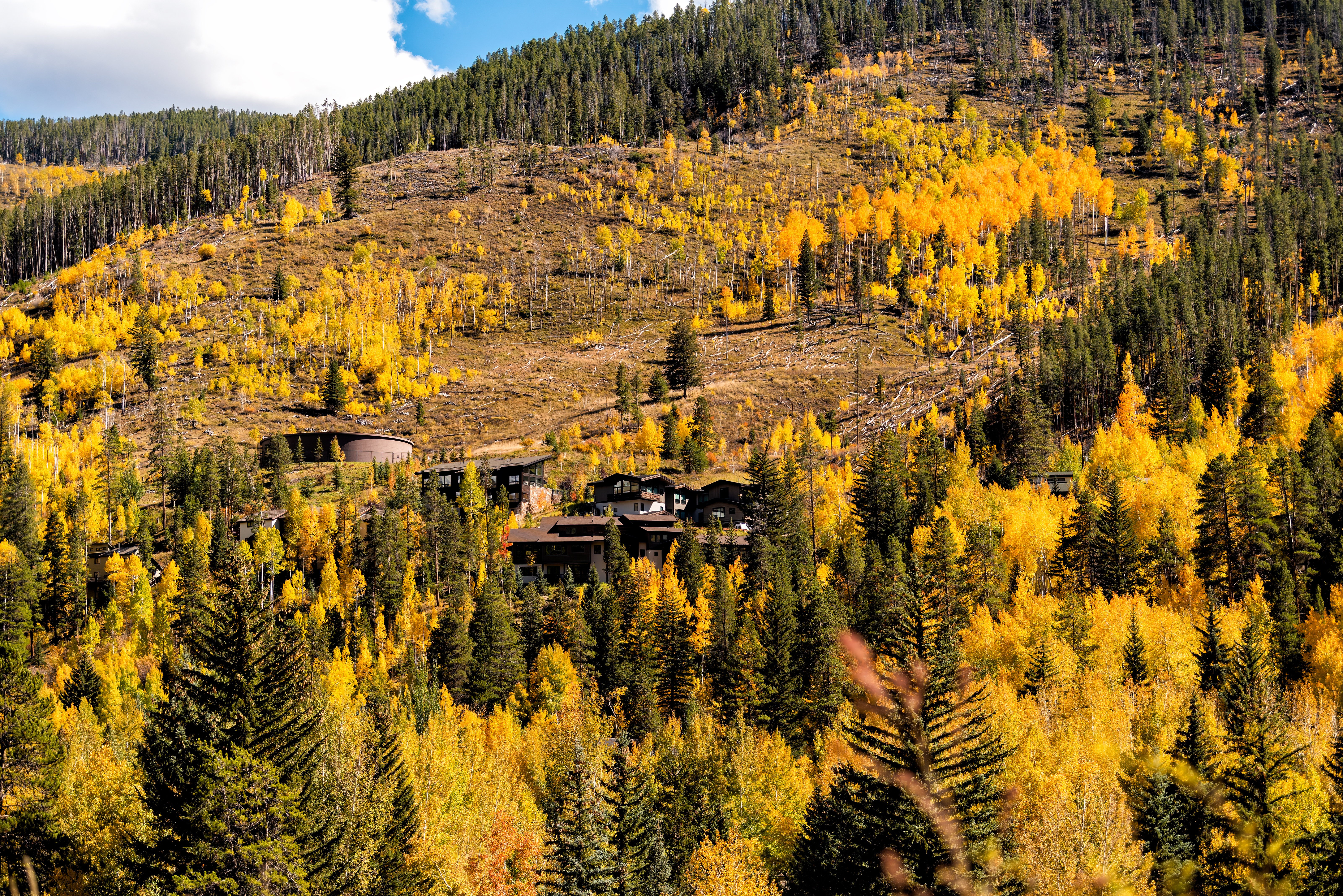 Colorado